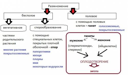 Составить схему размножение растений 2 класс познание мира