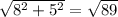 \sqrt{ 8^{2}+ 5^{2} } = \sqrt{89}