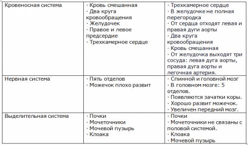 Сравнительная таблица рыб земноводных и пресмыкающихся
