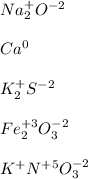 Na_2^{+}O^{-2} \\ \\ Ca^0 \\ \\ K_2^{+}S^{-2} \\ \\ Fe_2^{+3}O_3^{-2} \\ \\ K^{+}N^{+5}O_3^{-2}