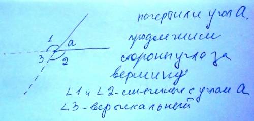 :начертите произвольный угол. для него обозначте смежные и вертикальные углы