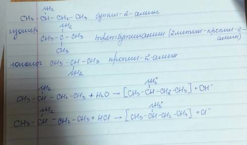Изобразите структурную формулу бутиламина. постройте и назовите один гомолог и один изомер. запишите
