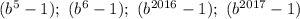 (b^5-1); \ (b^6-1);\ (b^{2016}-1);\ (b^{2017}-1)