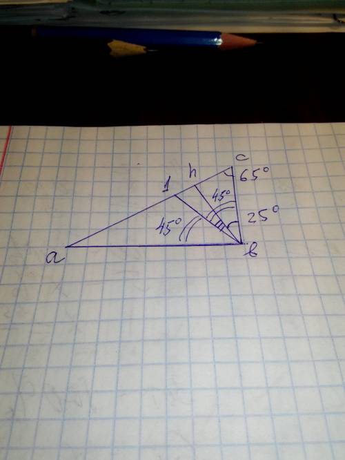 Втреугольнике abc угол b равен 90 угол a 25найдите величину угла между высотой треугольника bh и бис