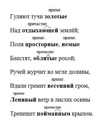 Какие части речи делают описание весеннего вечера выразительным? запиши стихотворение по памяти. гул