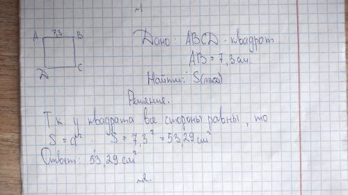 1)сторона квадрата 7,3 см найдите площадь квадрада 2)ребро куба равно 9,8 см найдите объём куба