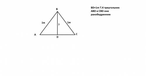 Втреугольнике авс проведена высота bd. найдите ав, если ad=bd=1м.