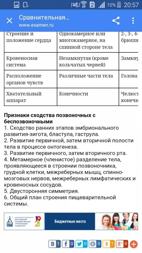 1) назови основные признаки отличающие беспозвоночных от позвоночных 3) почему губки относятся к жив