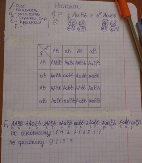 Учеловека резус положительный, доминирует над отрицательным, а- элиптоцитоз над нормальной формой эр