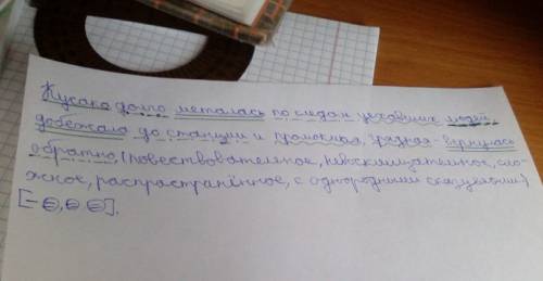 Синтаксический разбор : кусака долго металась по уехавших людей, добежала до станции и – промокшая,