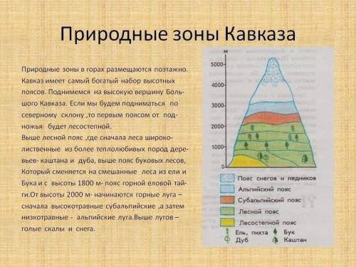 1в каких горных системах россии больше всего природных зон? (3 примера). 2 рассказать о хозяйственно