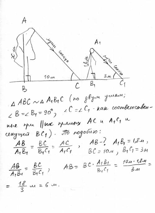 Длина тени дерева равна 10м,а длина тени человека,рост которого 1,8 м равна 3 м.найдите высоту дерев