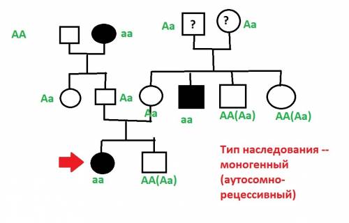 Пробанд - глухоніма дівчинка. її брат, мати і батько здорові. з боку батька пробанда тітка і дід здо