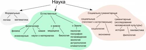 Какие группы естественных наук вы знаете.