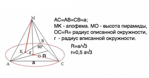 20+! как найти апофему правильной треугольной пирамиды , если известны радиус описанной окружности и