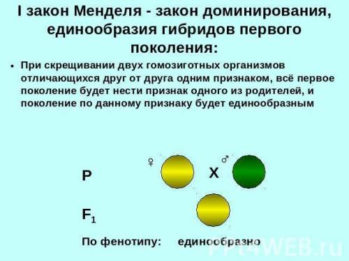 При скрещивании растений львиного зева с широкими листьями с особями с узкими листьями, потомство в