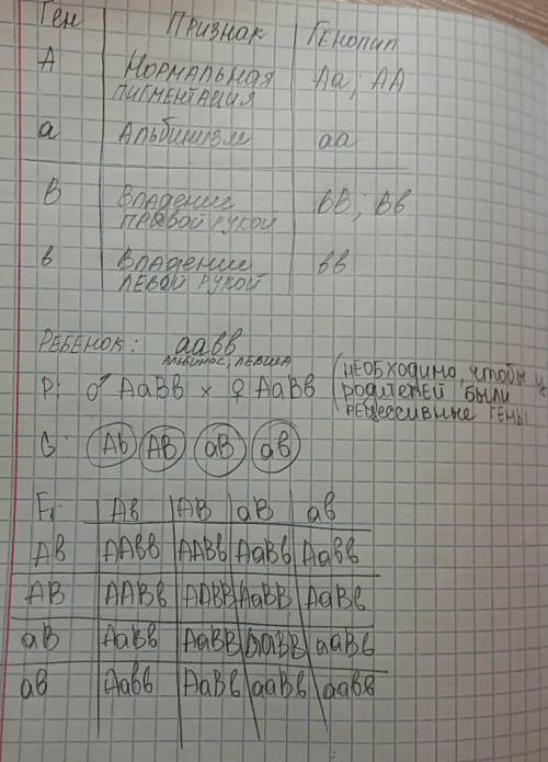 Свсе .у человека альбинизм и владеть левой рукой-рецессивные признаки,наследуемые независимо.каковы