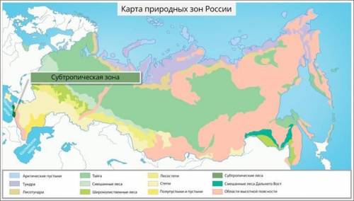 Определи по описанию о каких природных зонах идёт речь а: эта природная зона в нашей стране самая ма