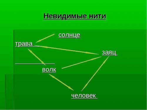 Свой пример невидимых нитей в весеннем лесу изобразите его в виде схемы