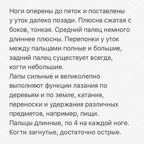 Утка. главные особенности её лап. попугай. особенности его лап.