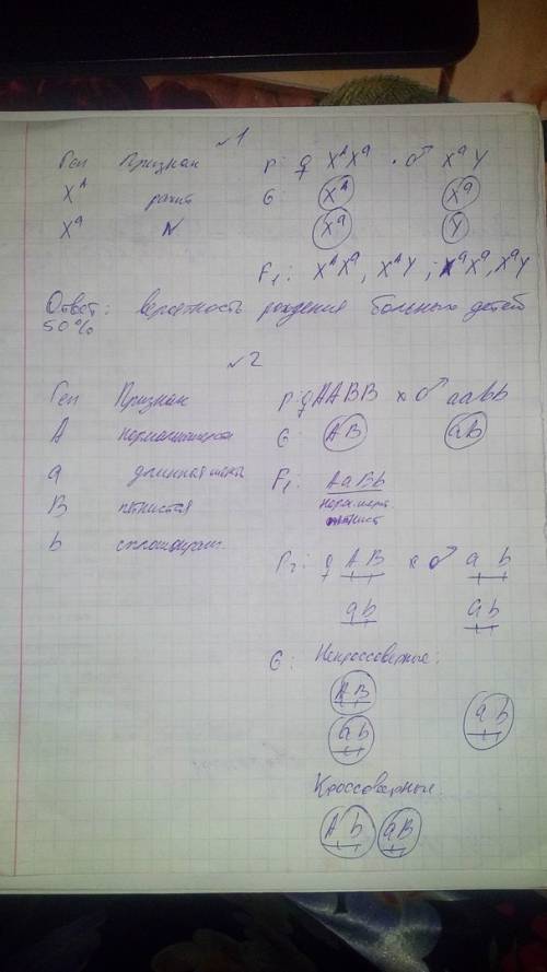 1. у человека доминантный ген а определяет стойкий рахит, который наследуется сцеплено с полом, како