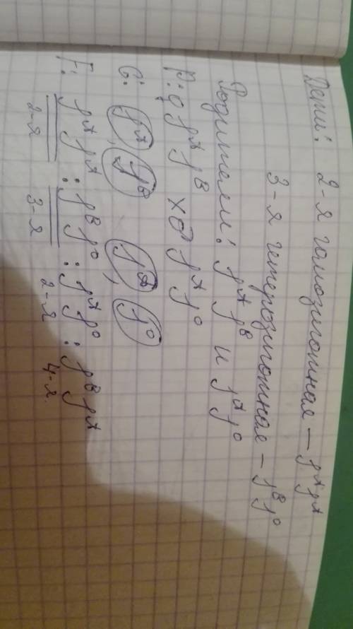 Умальчика 2-я гомозиготная группа крови, а у его сестры- 3-я гетерозиготная. определите генотипы род