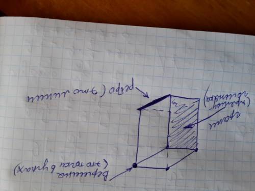 Начертить в тетради прямоугольный параллелепипед, уметь показывать на нём грани, рёбра и !