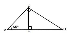 Впрямоугольном треугольнике проведена высота к гипотенузе. какие углы эта высота образует с катетами
