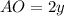 AO=2y