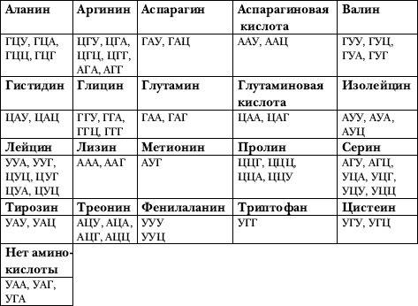 Определите состав аминокислот в полипептидной цепи уау цгг гцу цац угг аау цуг цаг уга