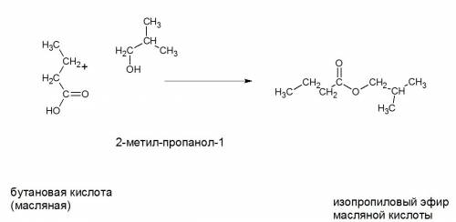 Реакция бутановой кислоты с 2-метил-пропанолом-1