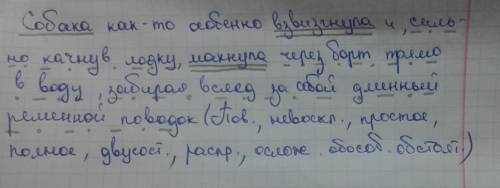 Синтаксический разбор предложения. собака как то особенно взвизгнула и сильно качну лодку махнула че