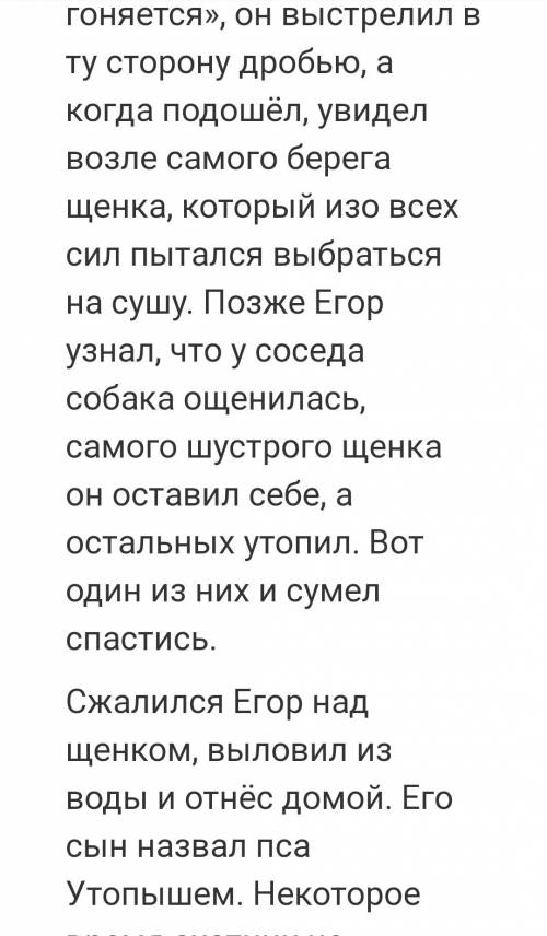 Предательство и верность в рассказе собачья гордость