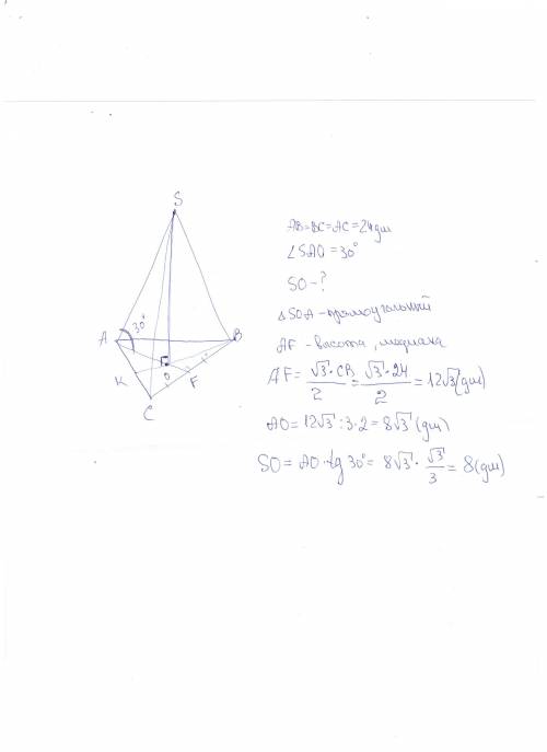 Сторона основания правильной треугольной пирамиды равна 24 дм,боковое ребро с плоскостью снования об