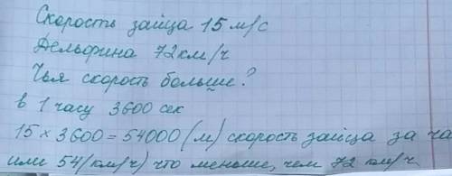 Письменно решить : скорость зайца равна 15 км с,а скорость дельфина 72 км ч . кто из них имеет больш