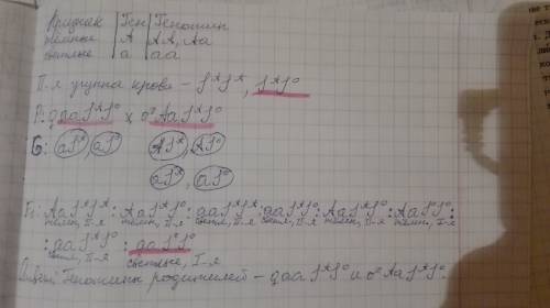 Усветловолосой женщины со 2 группой крови и темноволосого мужчины со 2 группой крови.ребенок родился