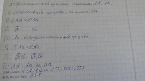 Группа состоит из 50% особей генотипа аа и 50% генотипа аа. какое соотношение генотипов установиться