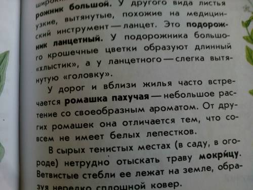 Определить растение (ромашка) по атласу-определителю новиков, губанов