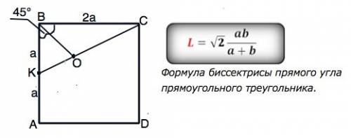 Вквадрате abcd точка k - середина стороны ab,а o-точка пересечения kc и bd. найдите угол bok. решите