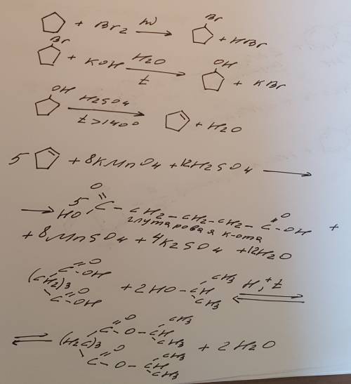 Циклопентан+br2= > x1+ koh, h2o => x2 + h2so4(конц), 180градусов=> x3 +kmno4 + h2so4 =>