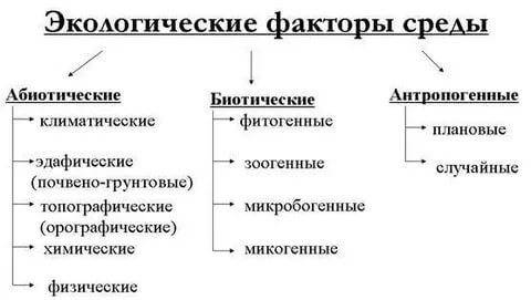 Какой из экологических факторов не относятся к абиотическим?