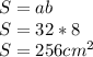 S = ab \\ &#10;S = 32*8\\&#10;S = 256 cm^2