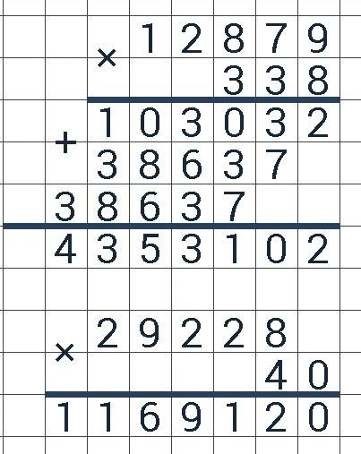 Решить пример в столбик 338 умножить 12 879* 29 228 х 40 можете еще какие нибудь примеры написать в