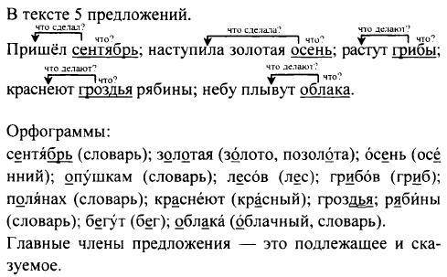 Пришёл сентябрь после августовских тёплых дней наступила золотая осень по опушкам лесов ещё растут г