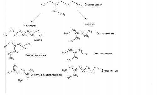 Подскажите , как составлять гомологи и изомеры? до сих пор понять не