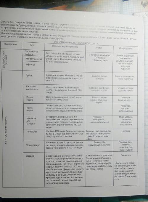 Таблица классификация животных от царства до вида 12-14 видов