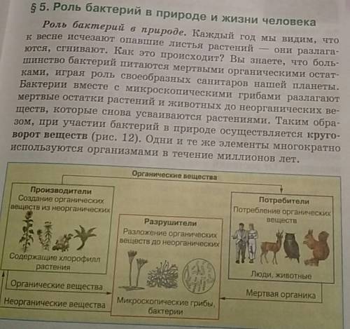 Стаблицей на тему многообразие прокариот их значение в припроде и в жизни человека. таблица: 1(столб