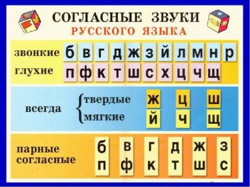 Как различить в словах мягкие и звонкие твердые соглассные буквы