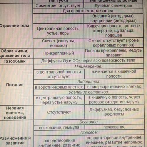 Сравнение типа губки и типа кишечнополостные