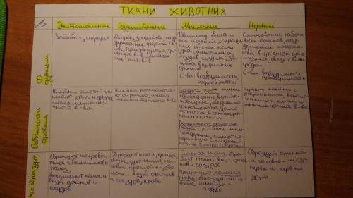 Составьте таблицу по теме ткани и органы, ! 1 столбец : название ткани . 2 столбец: особенности стро